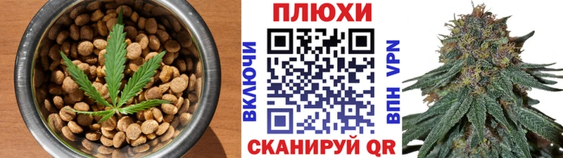продажа наркотиков  Саров  mega ССЫЛКА  Canna-Cookies марихуана 