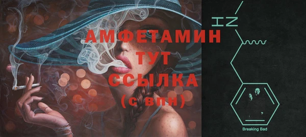 гашик Кулебаки
