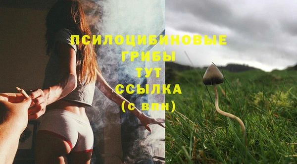 дживик Армянск