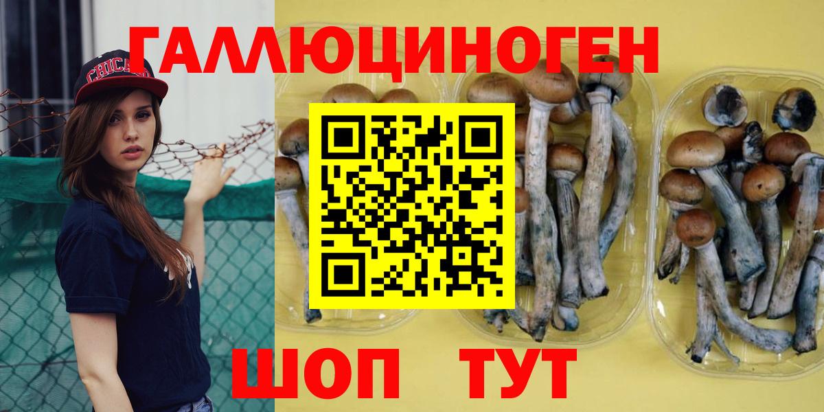 Псилоцибиновые грибы Psilocybine cubensis  Вход с VPN  Саров  Галлюциногенные грибы MAGIC MUSHROOMS 