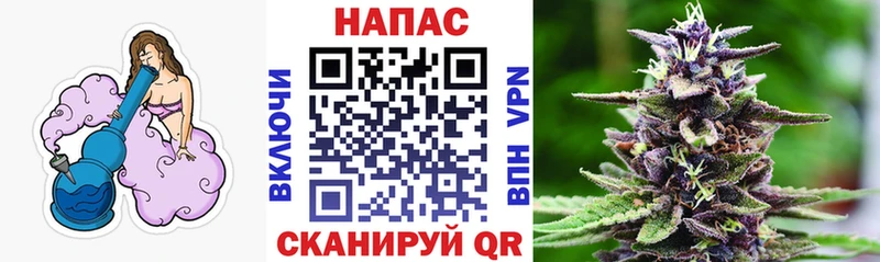 где продают Саров Каннабис VHQ